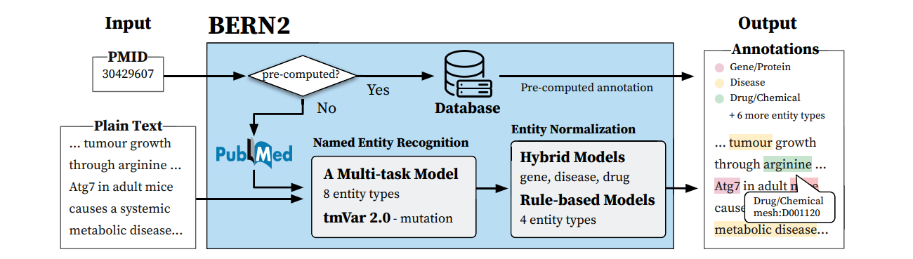 bioinformatics2022bern2